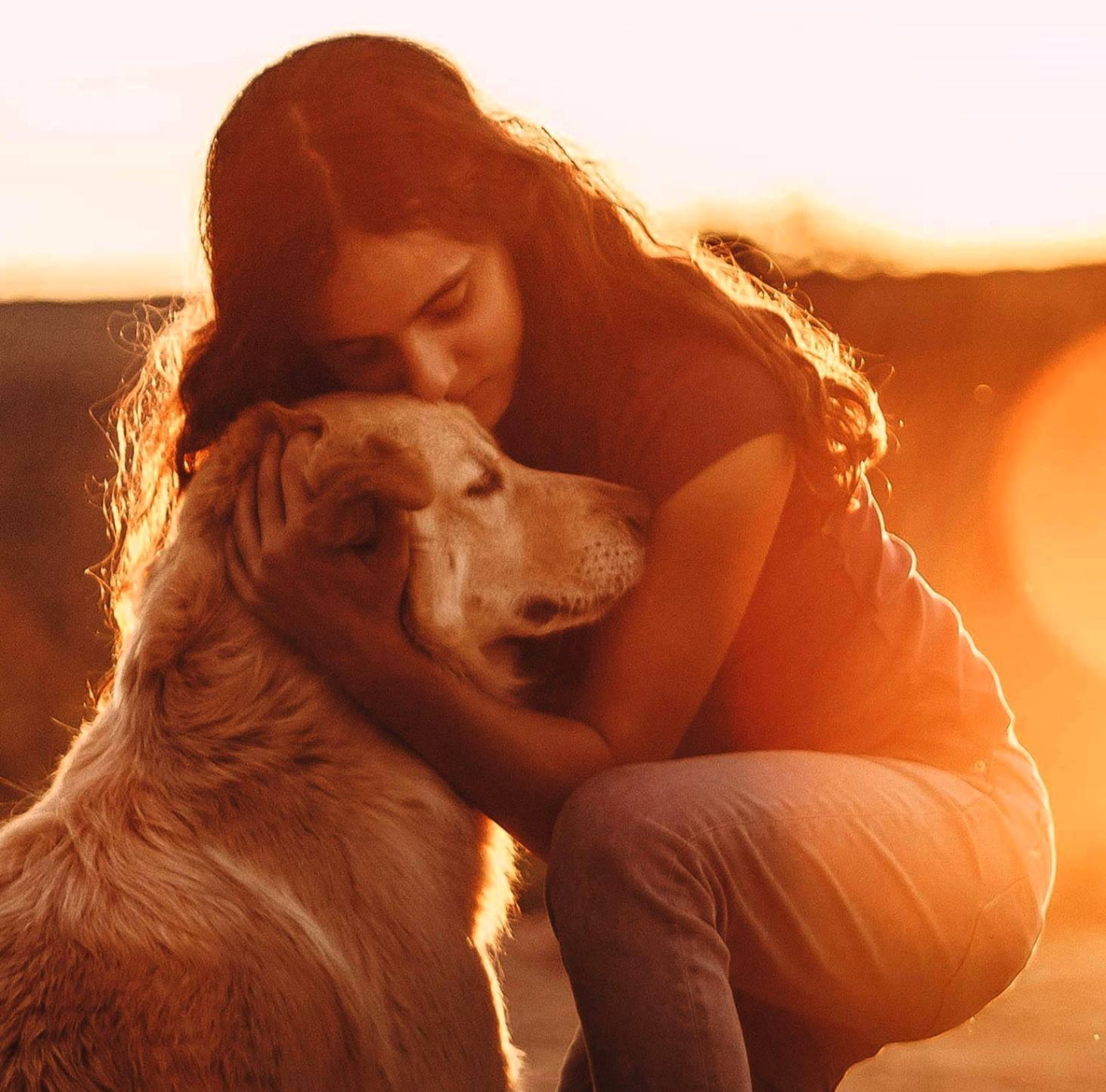 Beneficios de los perros en la salud mental y emocional